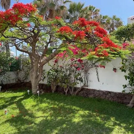 Parque Santiago 1- 2bed Lejlighed *